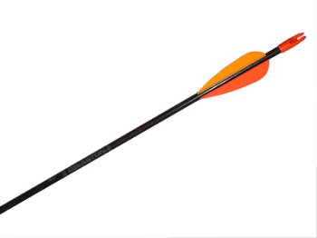 foto ��PY Lamin�t EZ